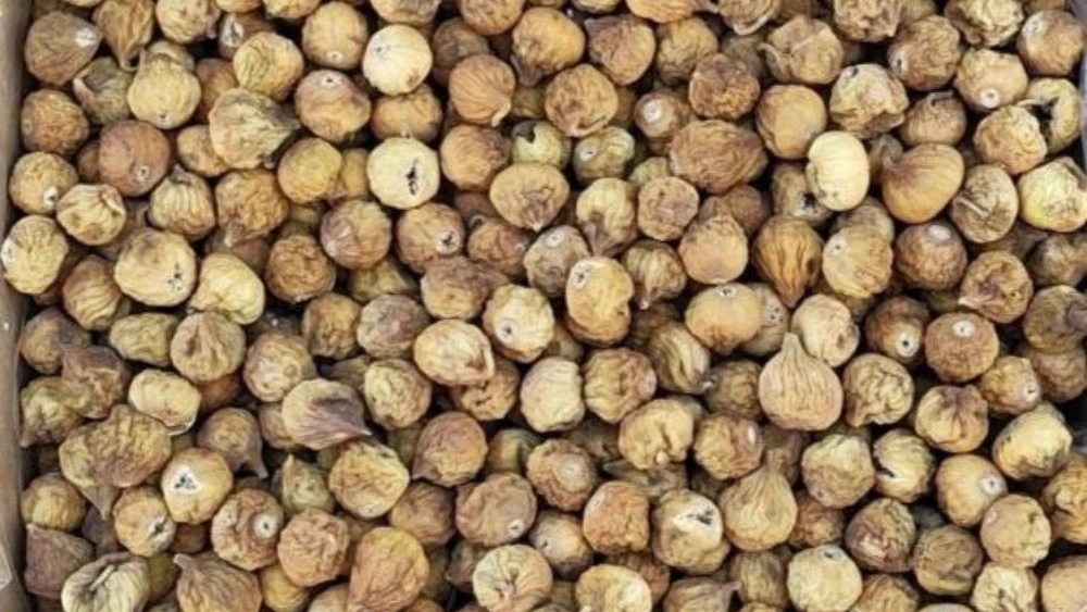 صادرات انجیر خشک ارگانیک و درجه یک