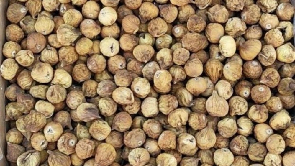 صادرات انجیر خشک ارگانیک و درجه یک