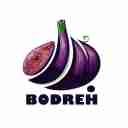 بازرگانی و تجارت انجیر خشک استهبان مجموعه بدره استور در فارس